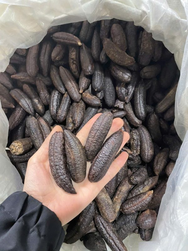 Chuối hột rừng Sơn La