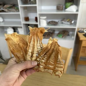 măng nứa Tây Bắc, hàng non bao chuẩn