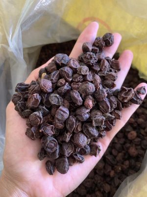 hạt mắc mật khô Tây Bắc